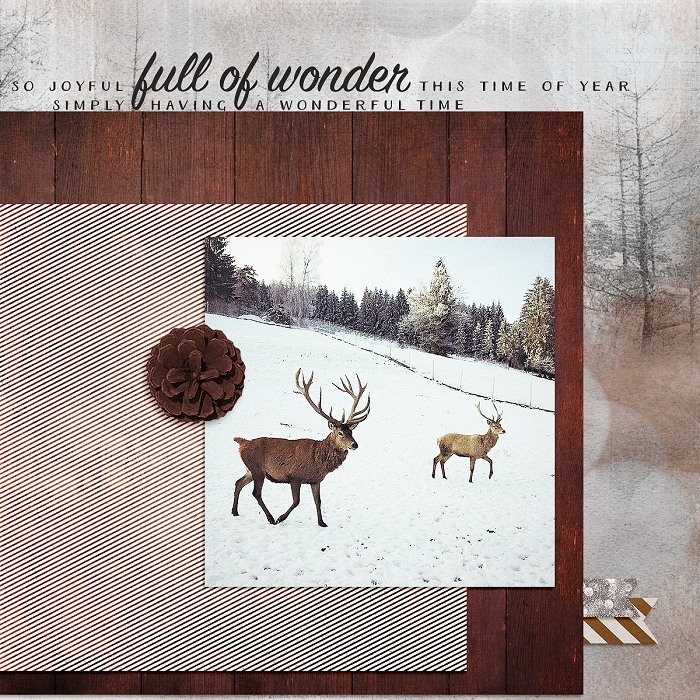 So Joyful Full Of Wonder