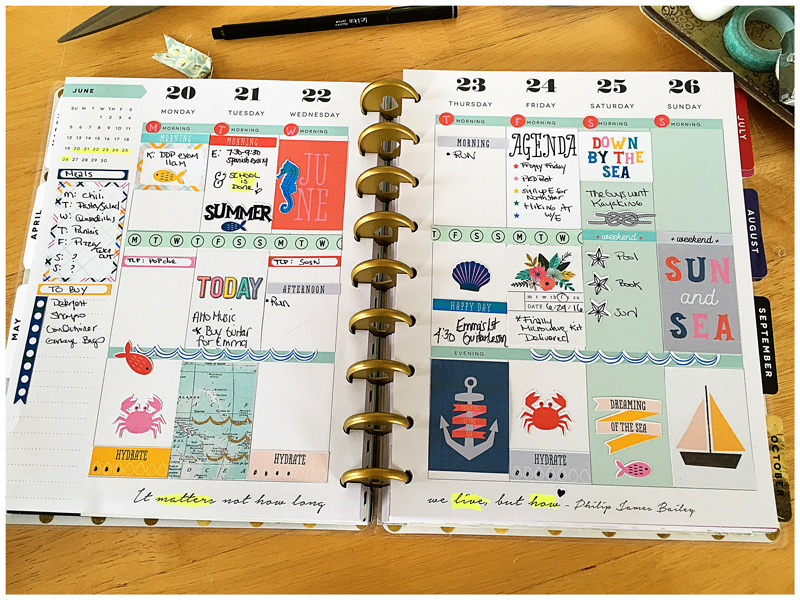 So Knotty June Mambi Happy Planner