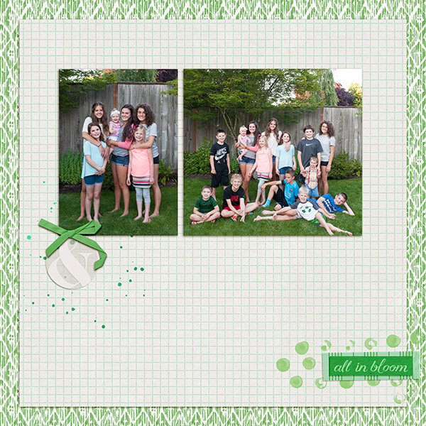 So Many Cousins