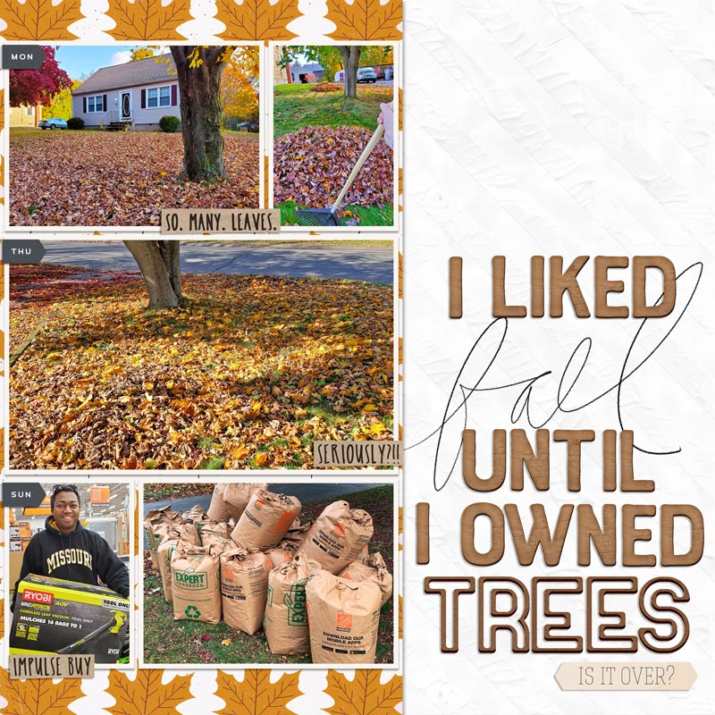 So. Many. Leaves.