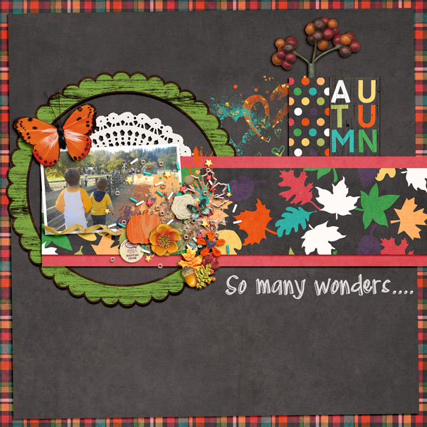 So many wonders