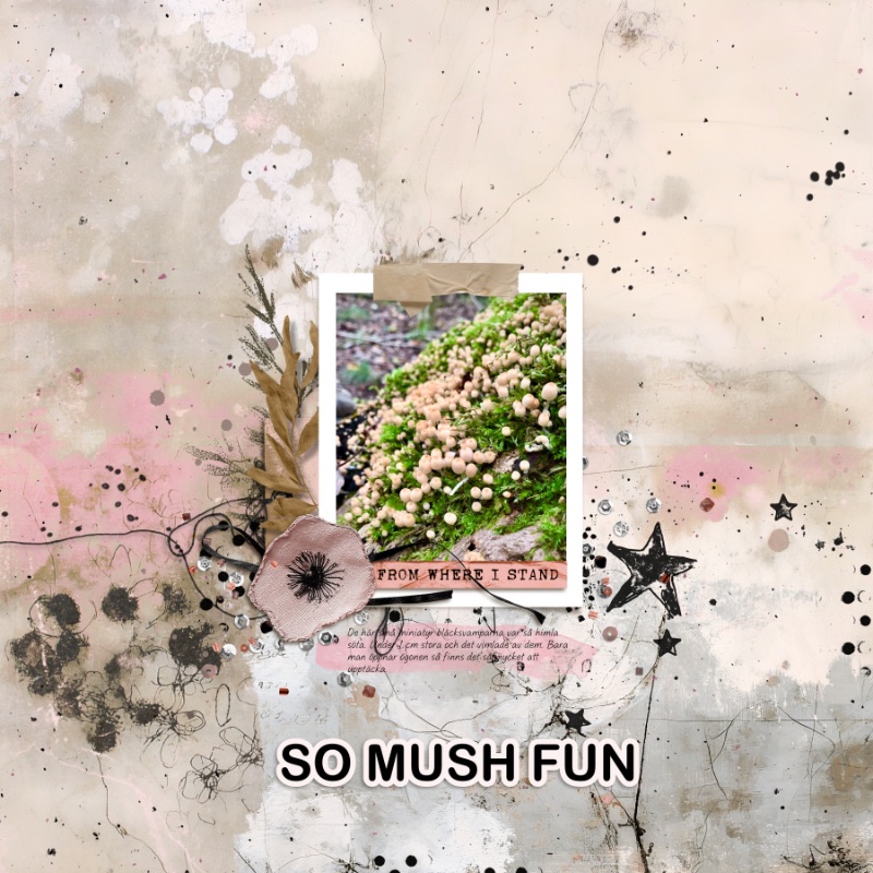 So mush fun