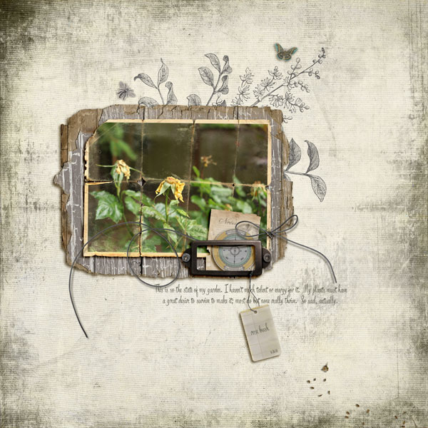 So My Garden - Nov. Product Challenge
