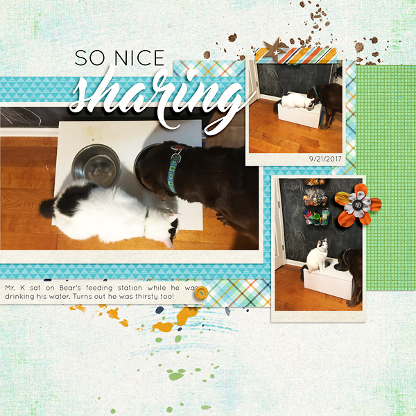 So Nice Sharing