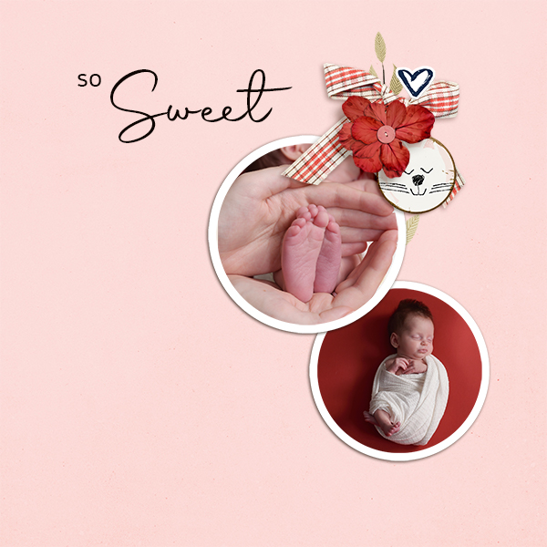 So Sweet_lgrieveson-love Cats