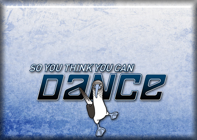 So-You-Think-You-Can-Dance