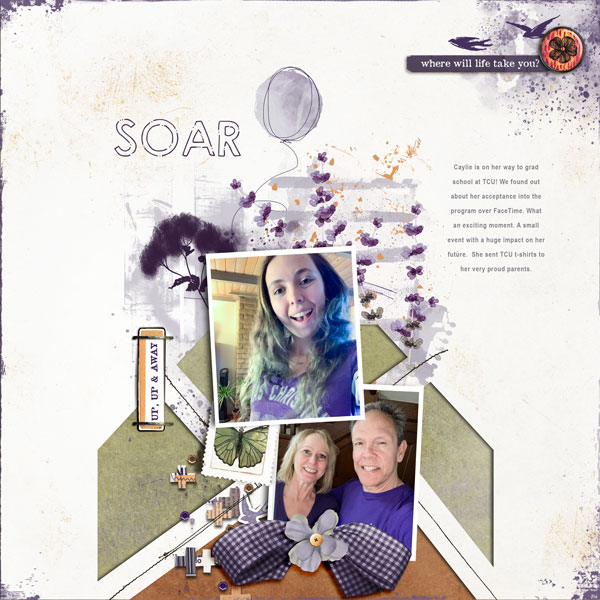 Soar