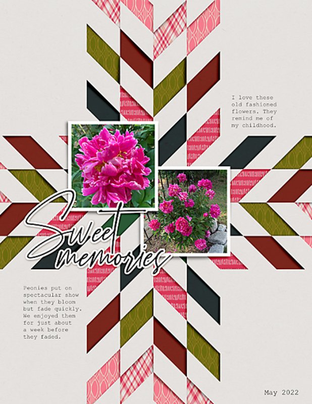 Soco_InTheBackground_No4_flowersgal_web
