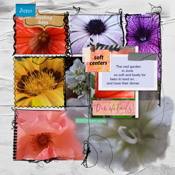 --soft-centers- Template challenge June