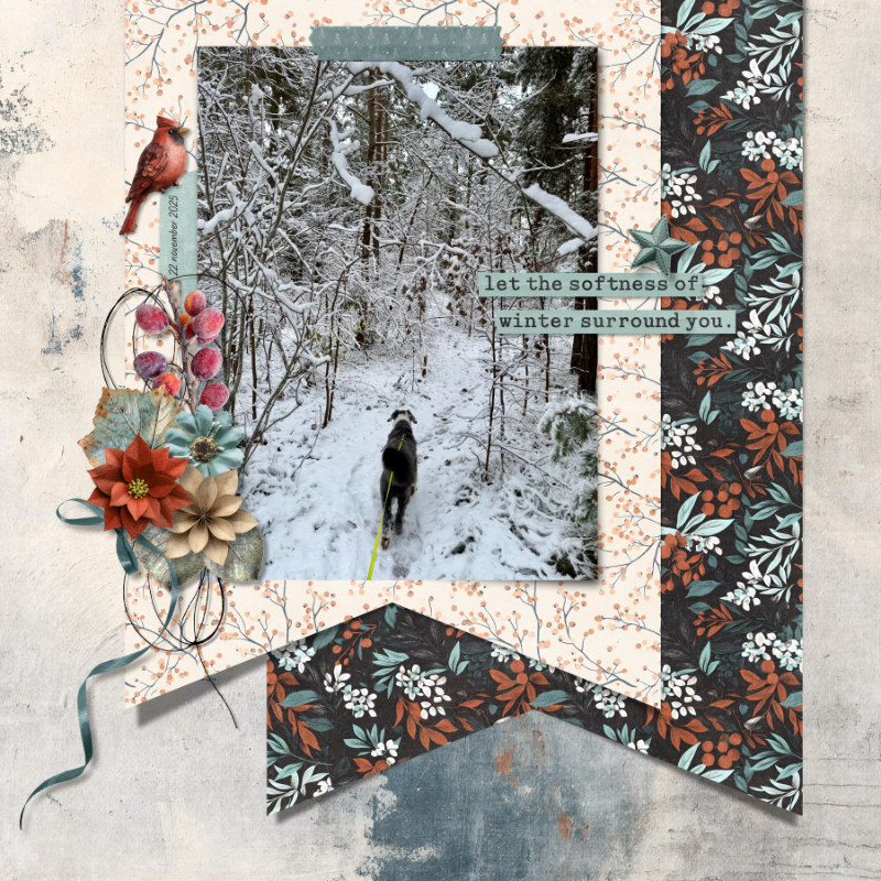 Softness of Winter