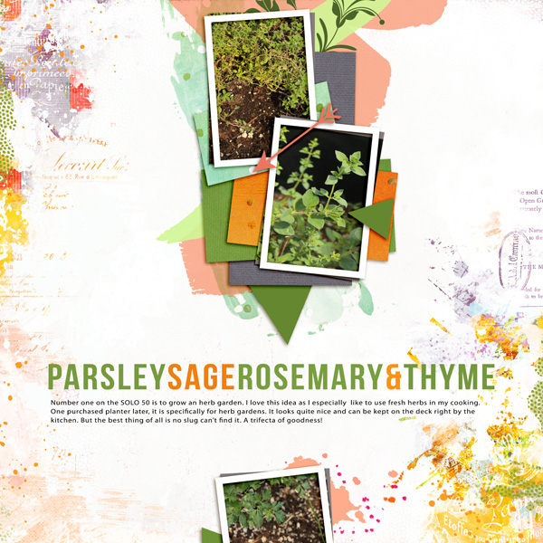 Solo-1_50things_herbgarden Web