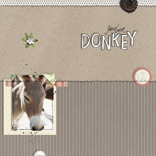 Somber Donkey