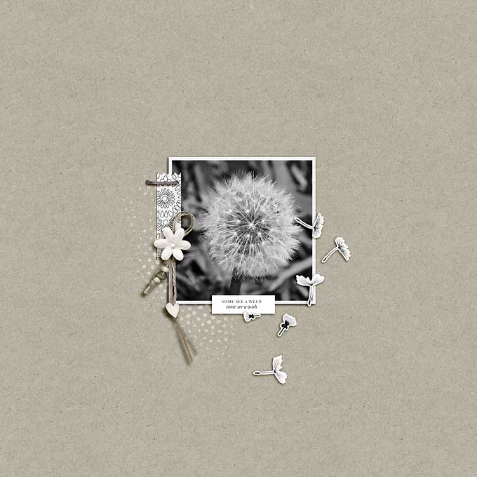 some see a wish