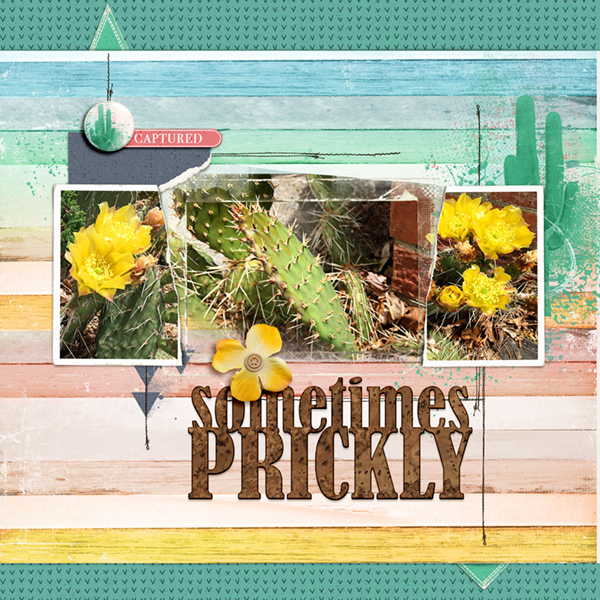 Sometimes Prickly