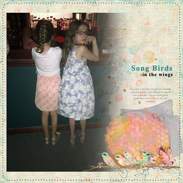 Song Birds
