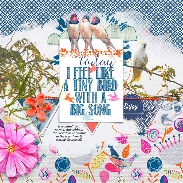 songbird