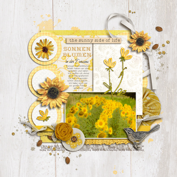 Sonnenblumen
