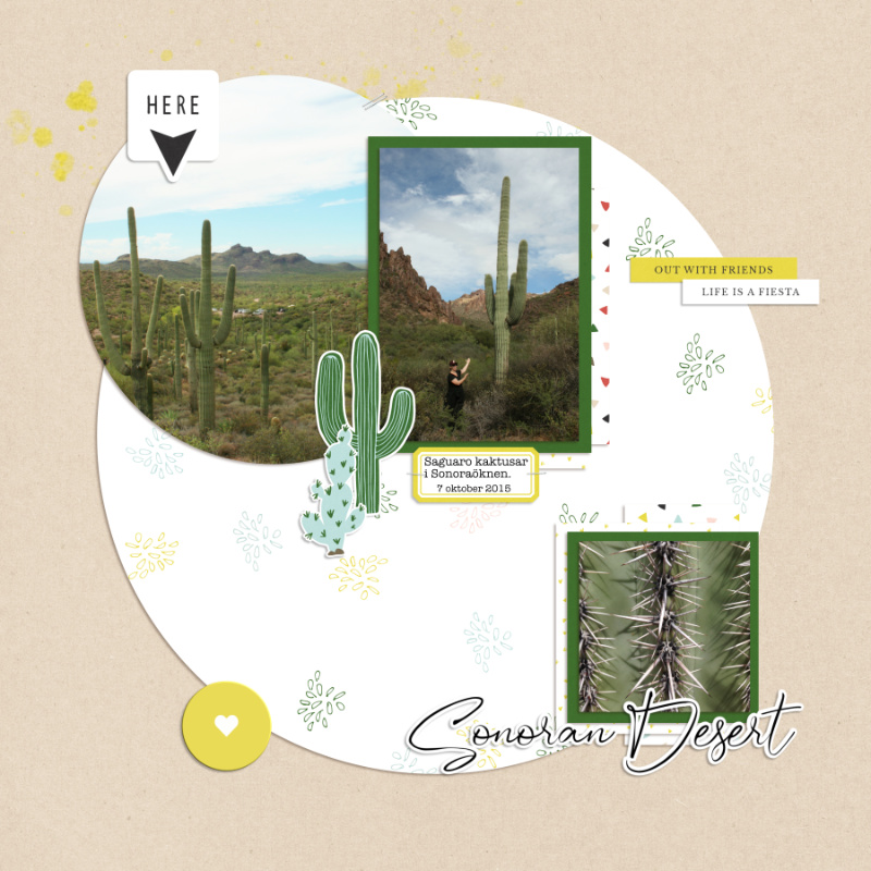 Sonoran desert