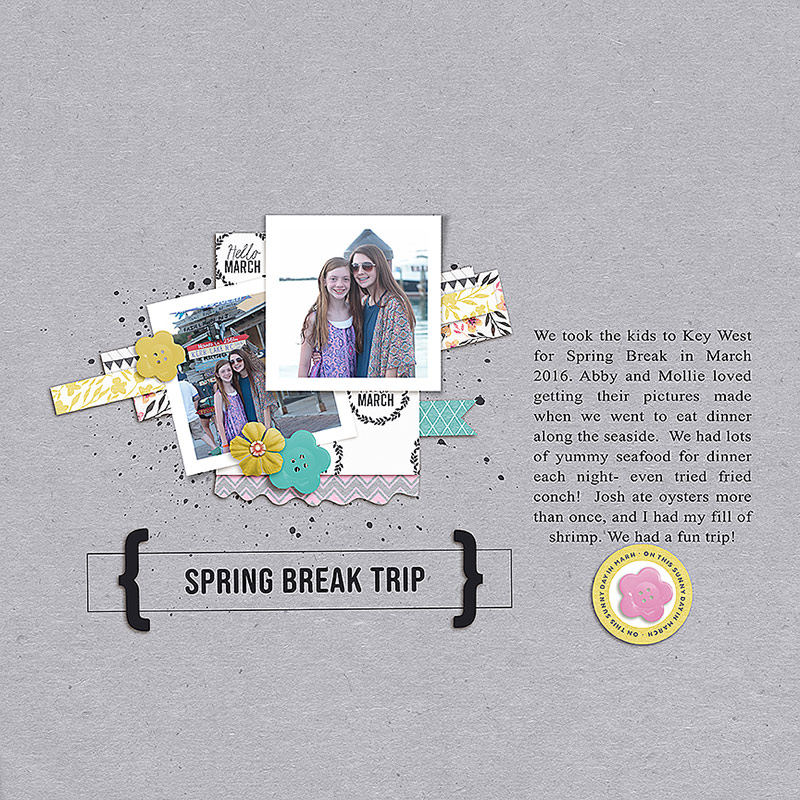 SOSN 03/15- Spring Break Trip