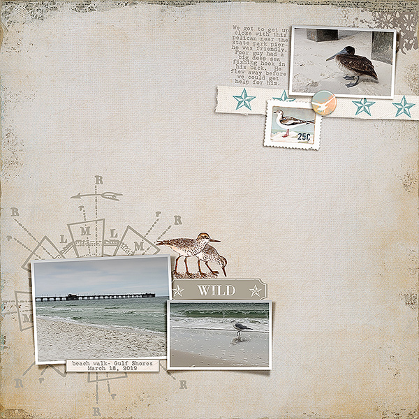 SOSN- 03/22 Beach Walk