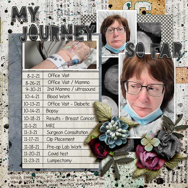 SOSN_12-15_LBW_FDD_My Journey So Far