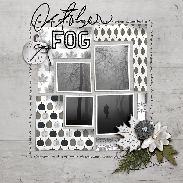SOSN_9-15_AP_SwL_October Fog