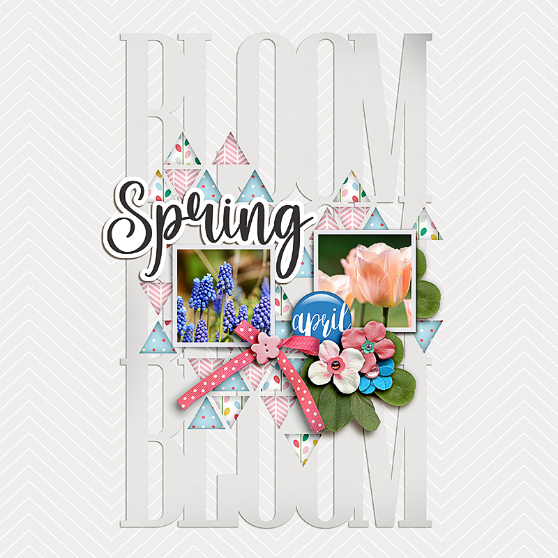 SOSN_apr12_dunia_Soco_Spring