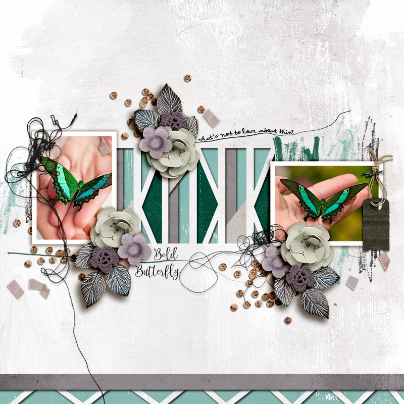SOSN_apr24_RJ_JJD_Bold Butterfly