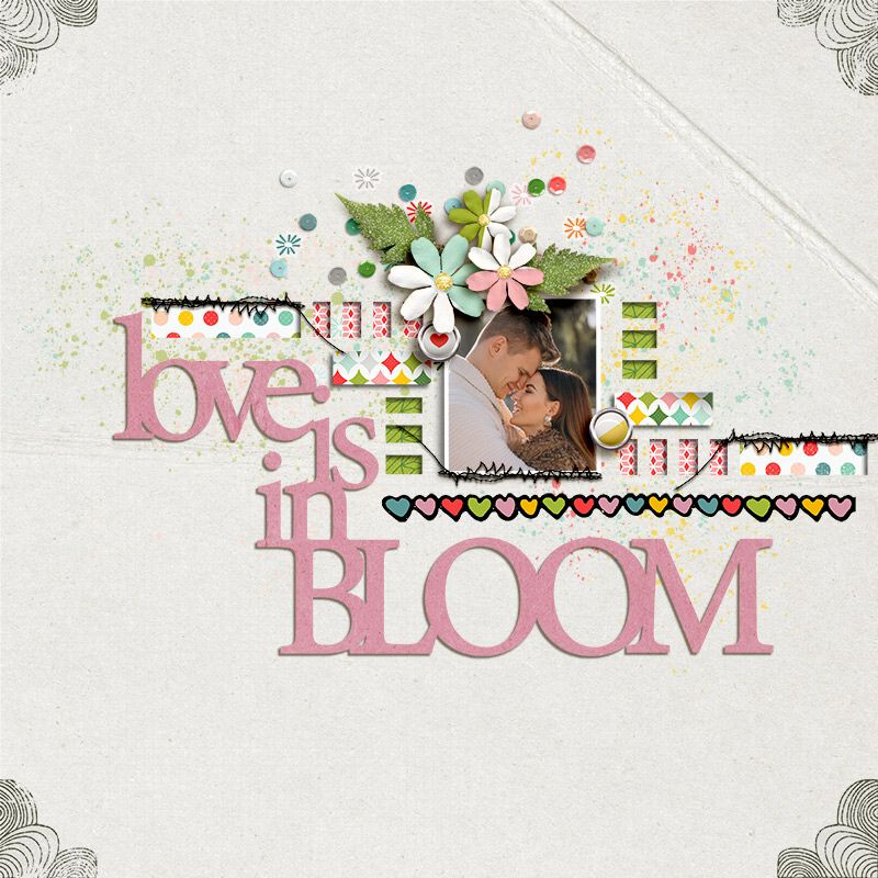 SOSN_apr3_JJ_SwL_JJD_Love Is In Bloom