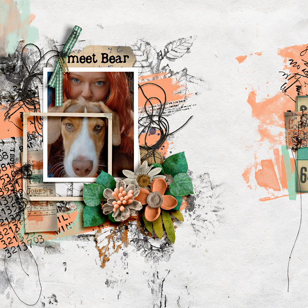 SOSN_aug17_RJ_LG_Meet Bear