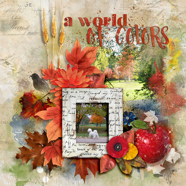 SOSN_aug24_NBK_A World Of Colors