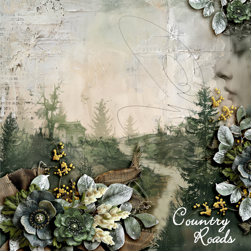 SOSN_feb12_NBK_Country Roads