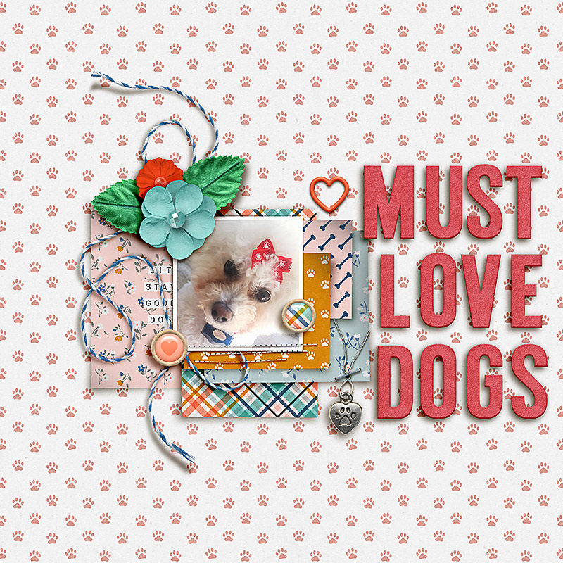 SOSN_feb22_LOD14_AP_HJ_Must Love Dogs