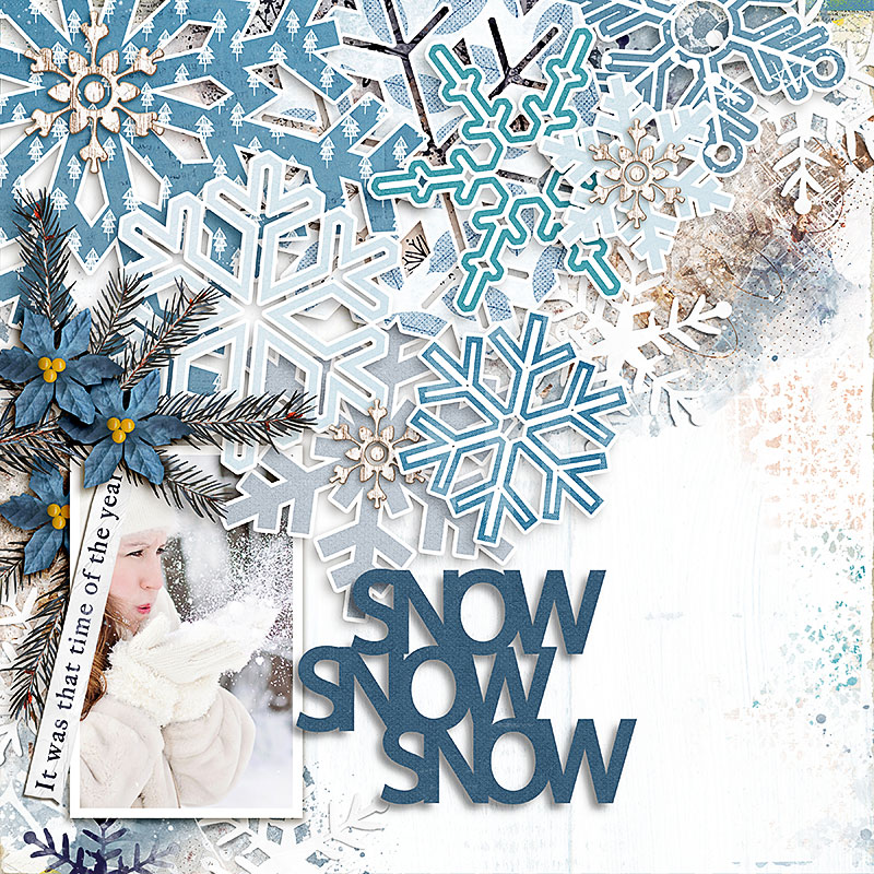 SOSN_jan11_LG_SwL_Snow Snow Snow