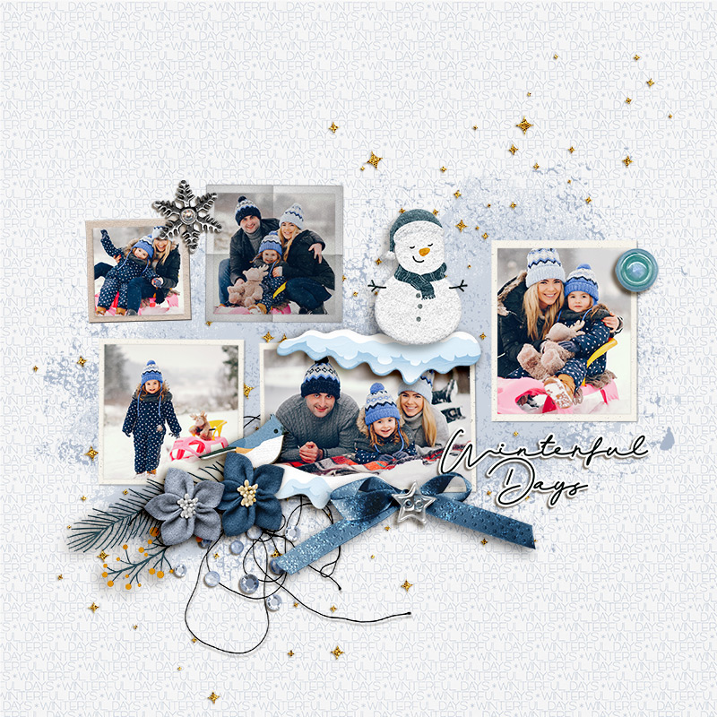 SOSN_jan15_ngd_NBK_Winterful Days