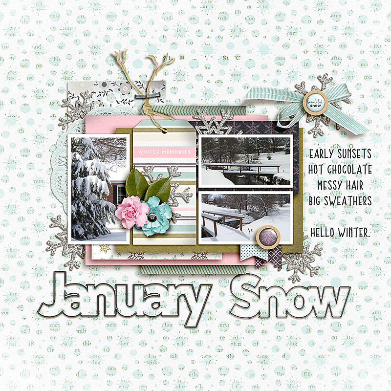 SOSN_jan4_AD_January Snow