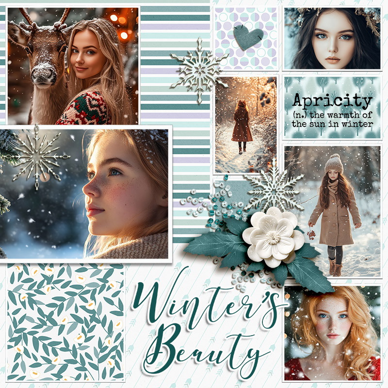 SOSN_jan8_ngd_N&J_Winter's Beauty