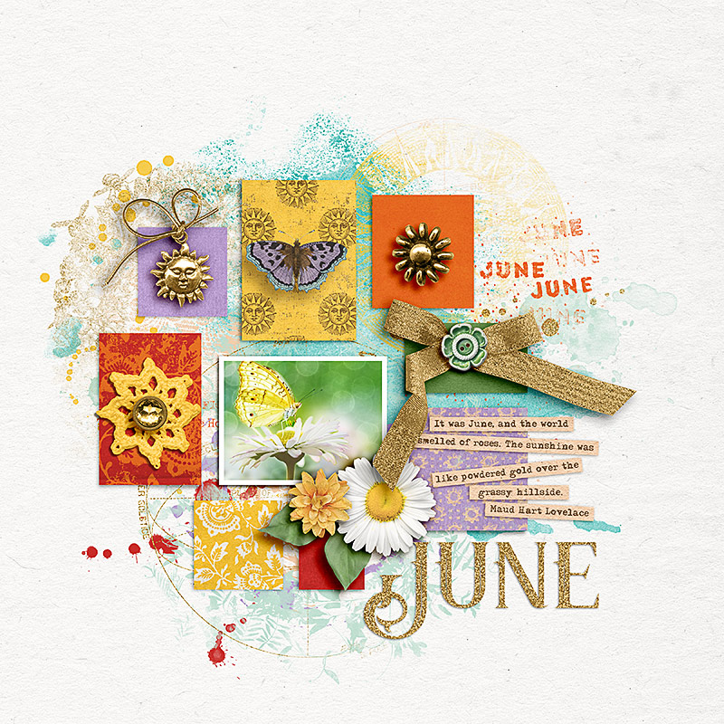 SOSN_jun21_AWA_Soco_June
