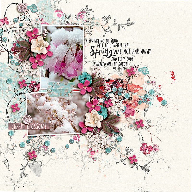 SOSN_mar15_AWA_Cherry Blossoms