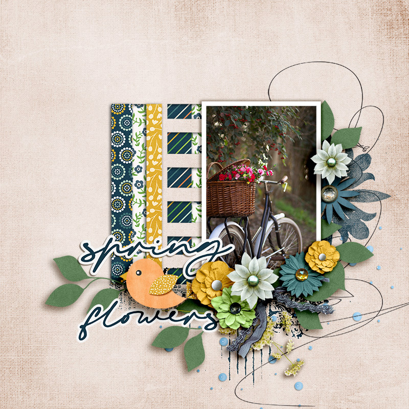 SOSN_mar27_JP_JJD_Spring Flowers