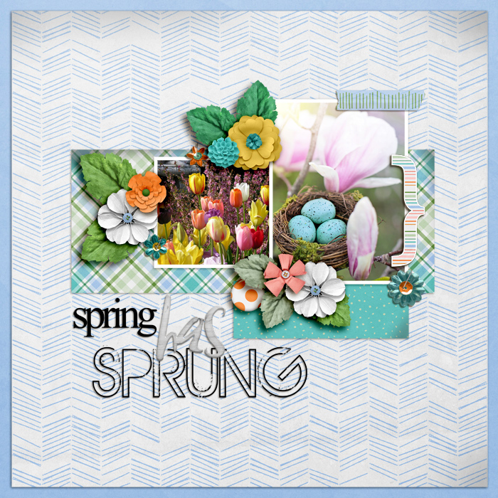 SOSN_mar30_KJ_FDD_Spring Has Sprung