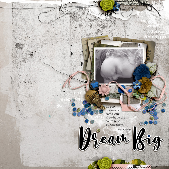 SOSN_mar30_RJ_Dream Big