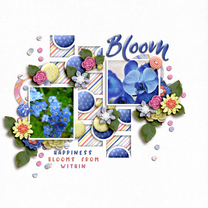 SOSN_mar9_Mom_JJD_Bloom