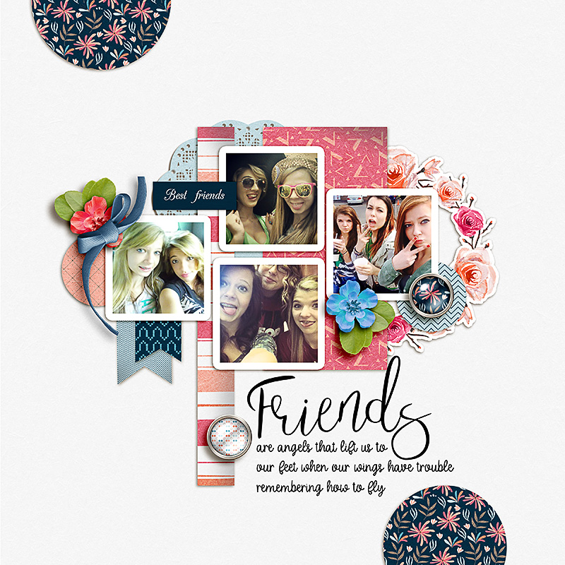 SOSN_may24_dbi_Friends