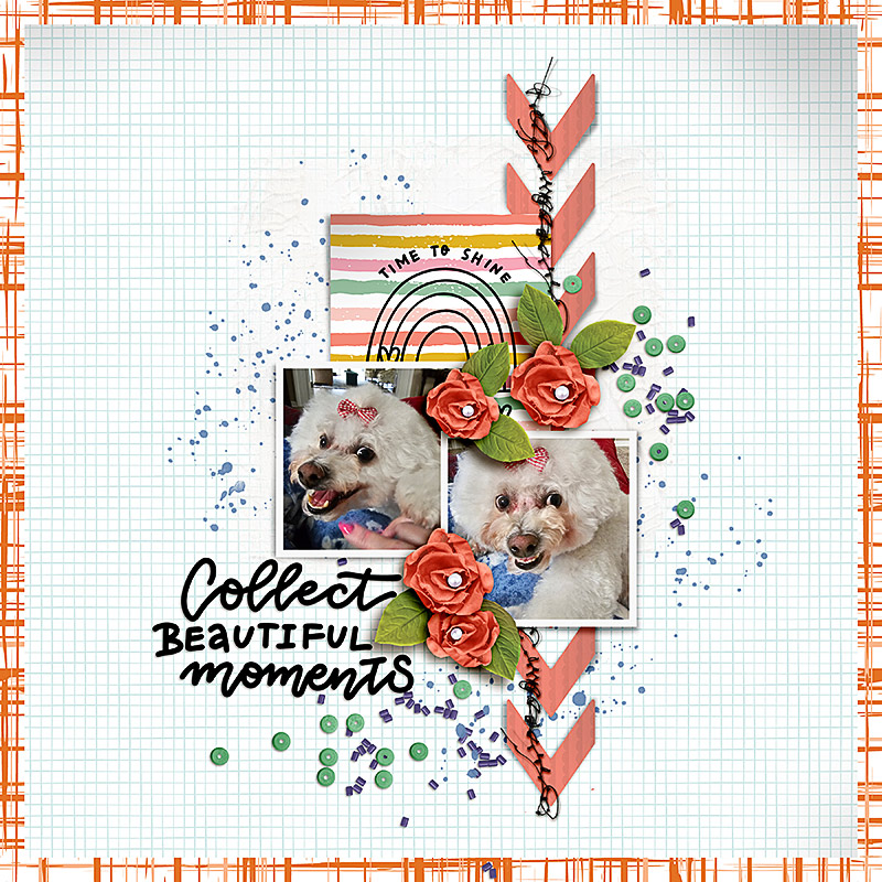 SOSN_may3_RE_Soco_Collect Beautiful Moments