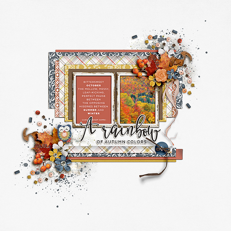 SOSN_nov1_AD_A Rainbow Of Autumn Colors