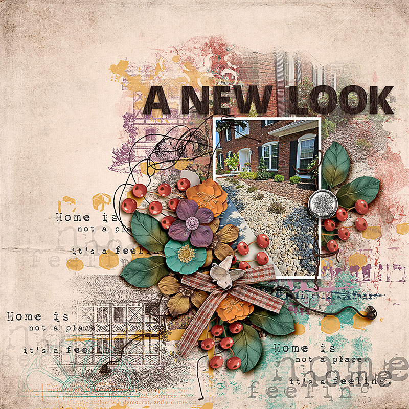 SOSN_nov1_AWA_A New Look