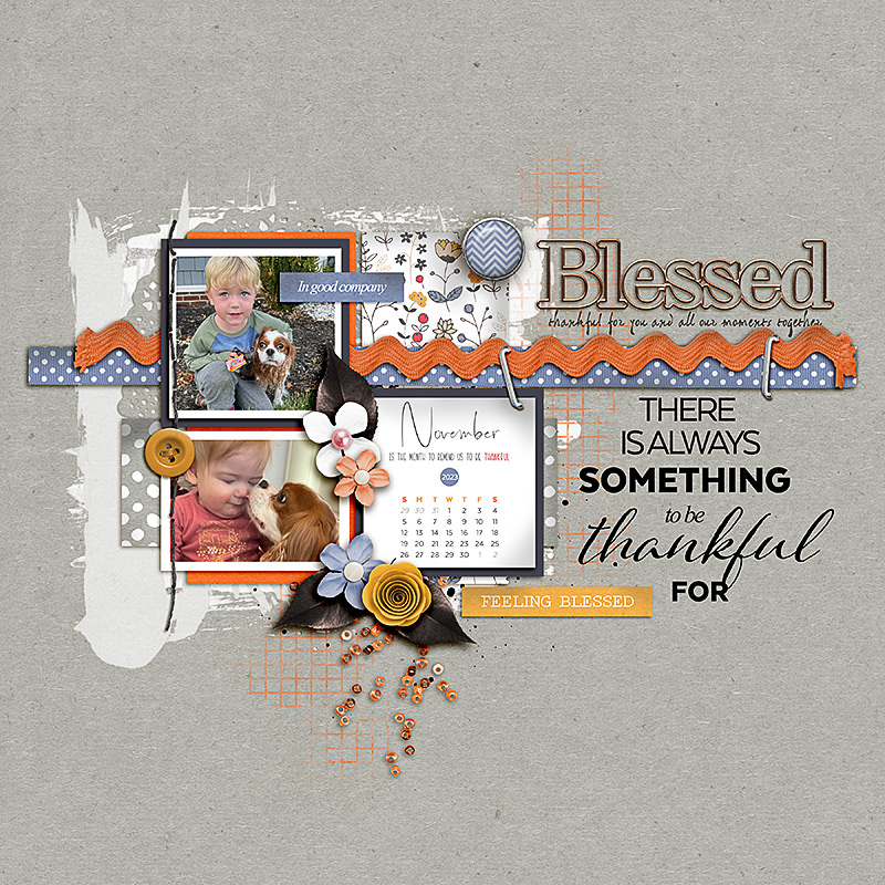 SOSN_nov8_AD_Blessed