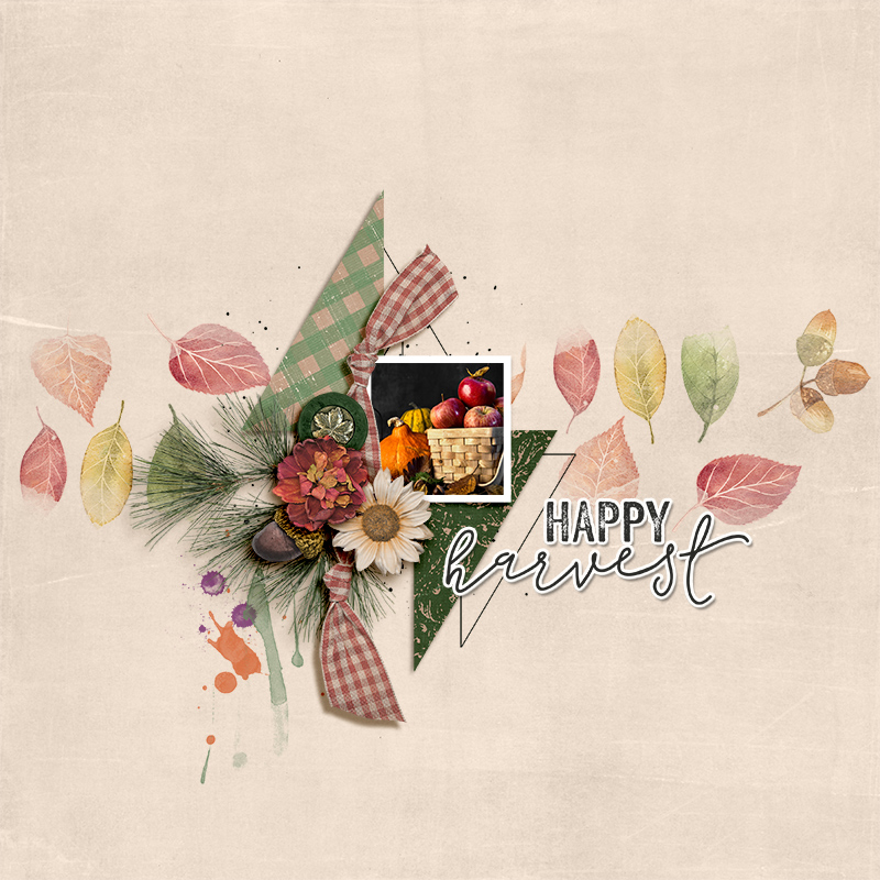 SOSN_sep18_AWA_Soco_Happy Harvest