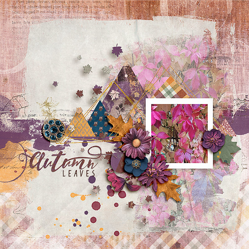 SOSN_sept6_AWA_LG_Autumn Leaves
